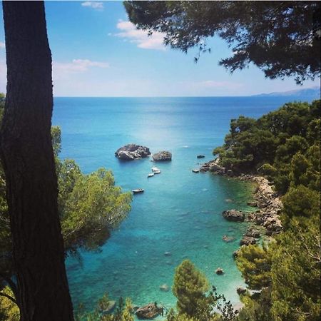 Casa Mara & Casa Tea Daire Maratea Dış mekan fotoğraf