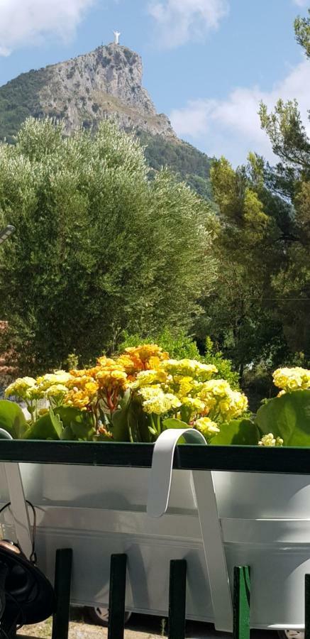 Casa Mara & Casa Tea Daire Maratea Dış mekan fotoğraf