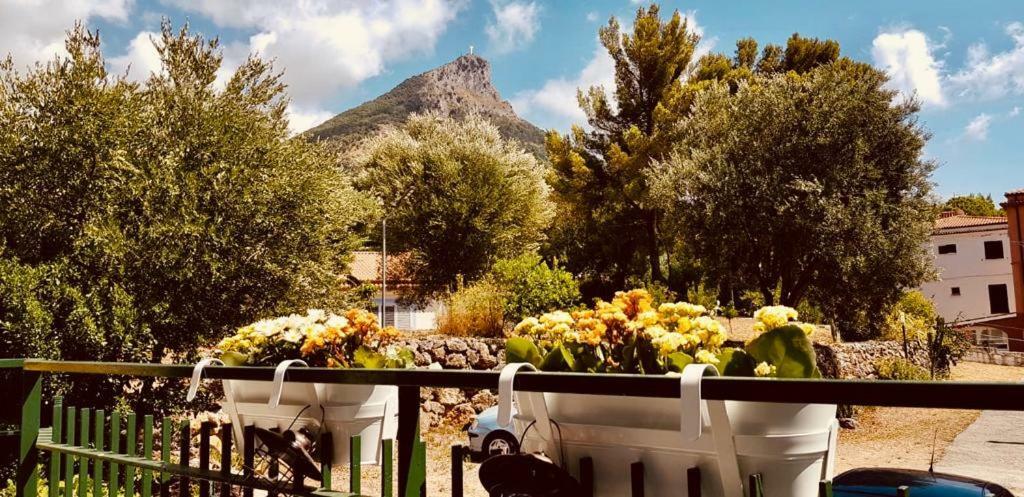 Casa Mara & Casa Tea Daire Maratea Dış mekan fotoğraf